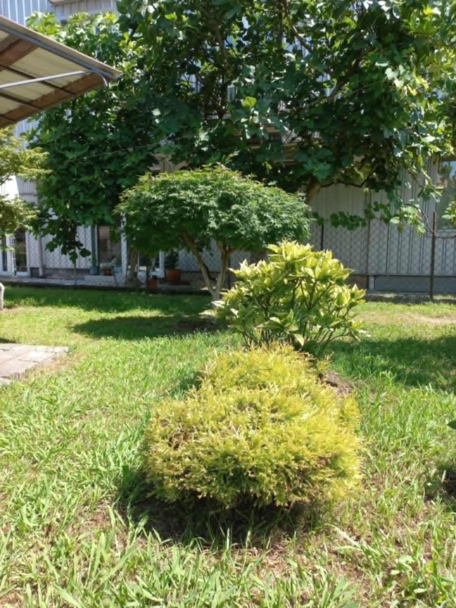 Guest House Kobuleti ภายนอก รูปภาพ