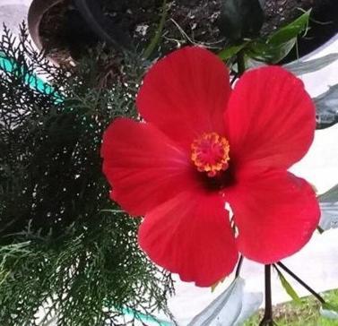 Guest House Kobuleti ภายนอก รูปภาพ